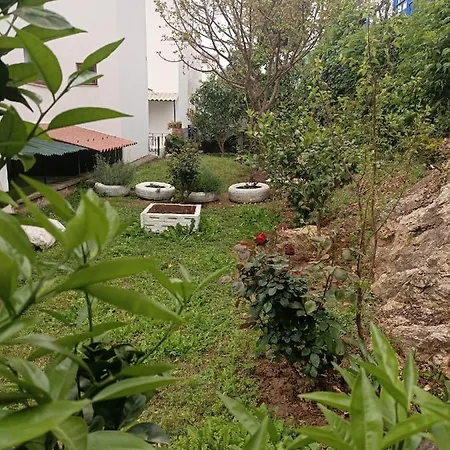 Deniz Manzarali *